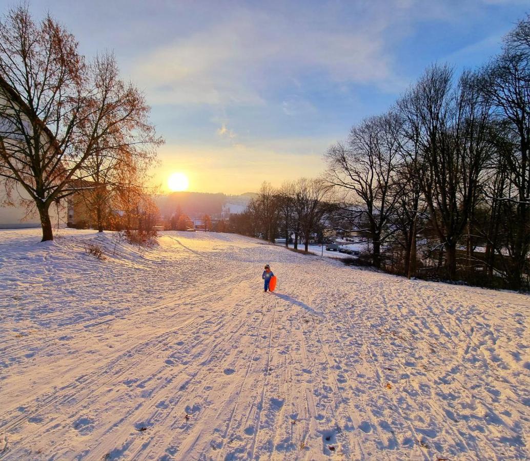 Ferienhaeuser Olbernhau Erzgebirge エクステリア 写真