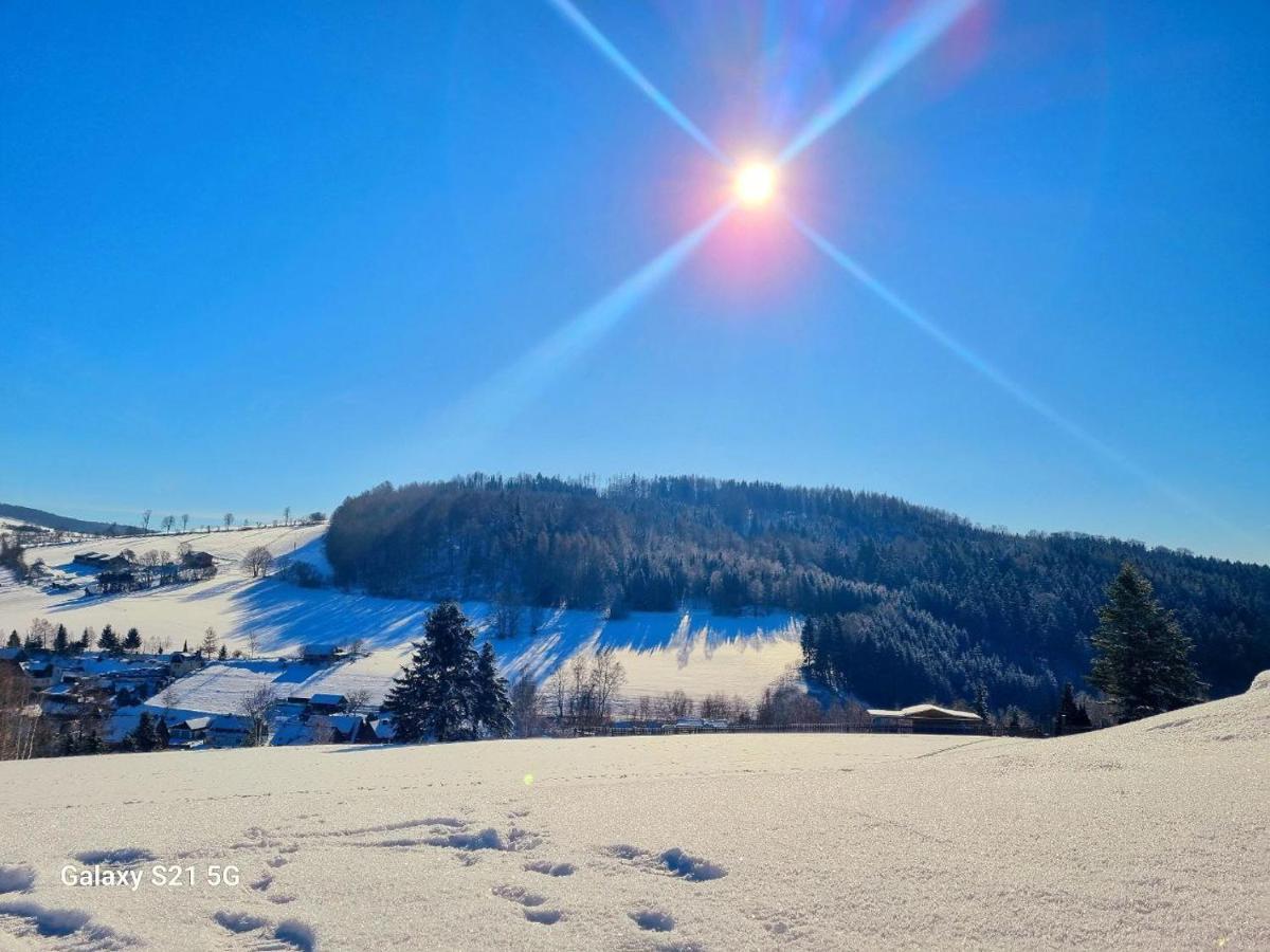 Ferienhaeuser Olbernhau Erzgebirge エクステリア 写真