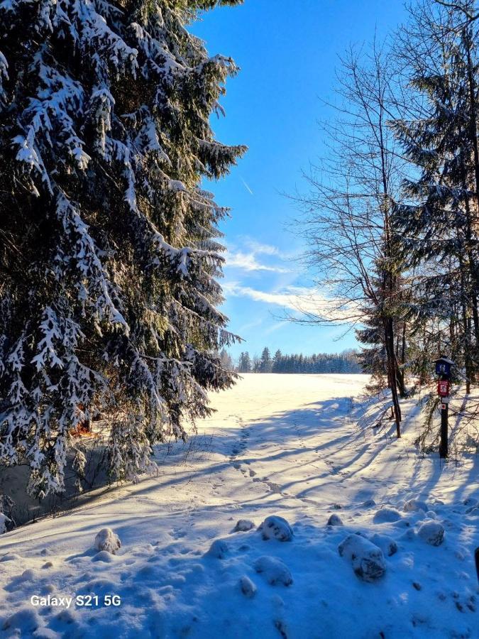 Ferienhaeuser Olbernhau Erzgebirge エクステリア 写真