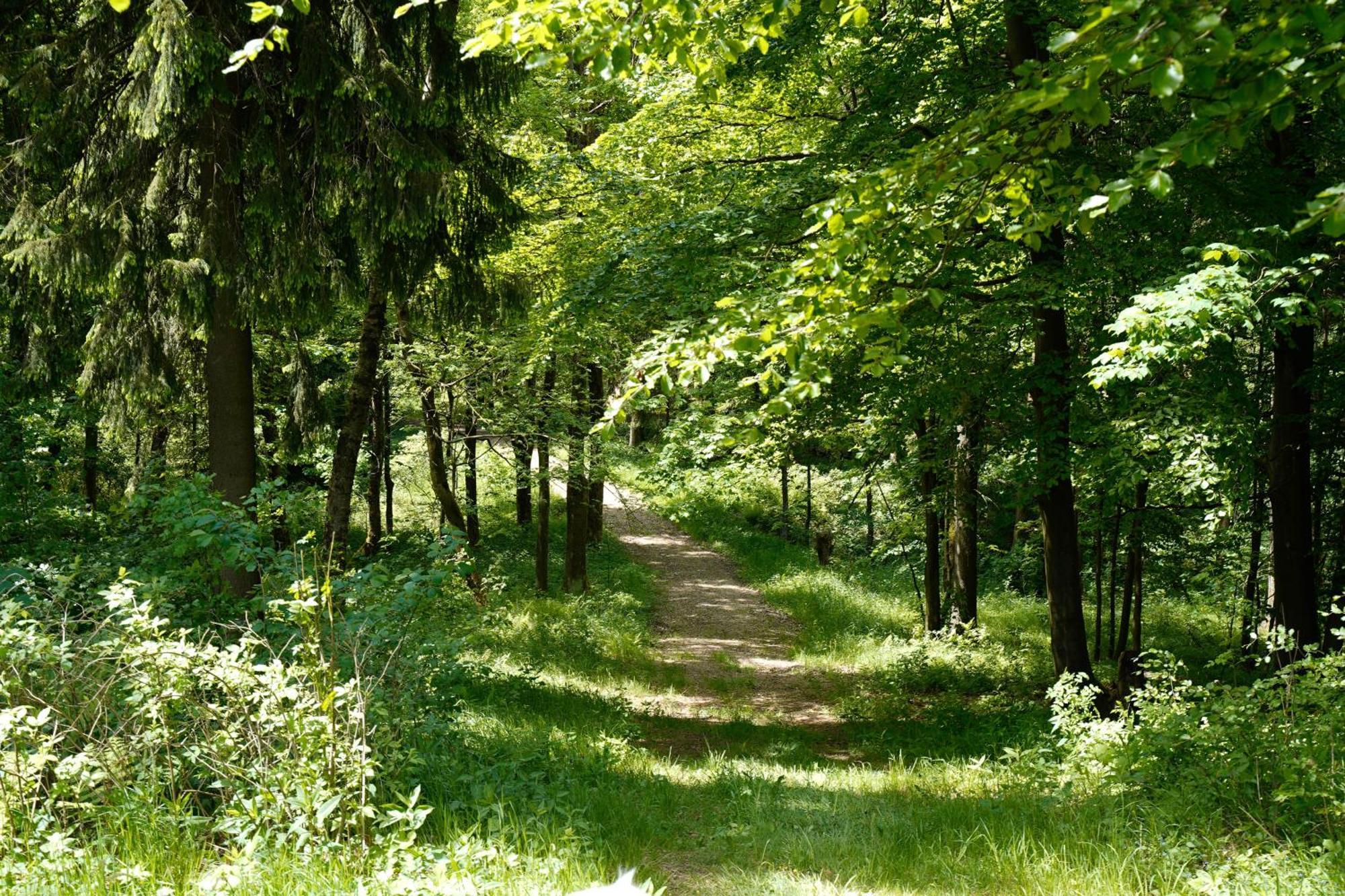 Ferienhaeuser Olbernhau Erzgebirge エクステリア 写真